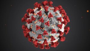 Read more about the article Inteligencia colectiva y coronavirus, colaborando en red somos más fuertes